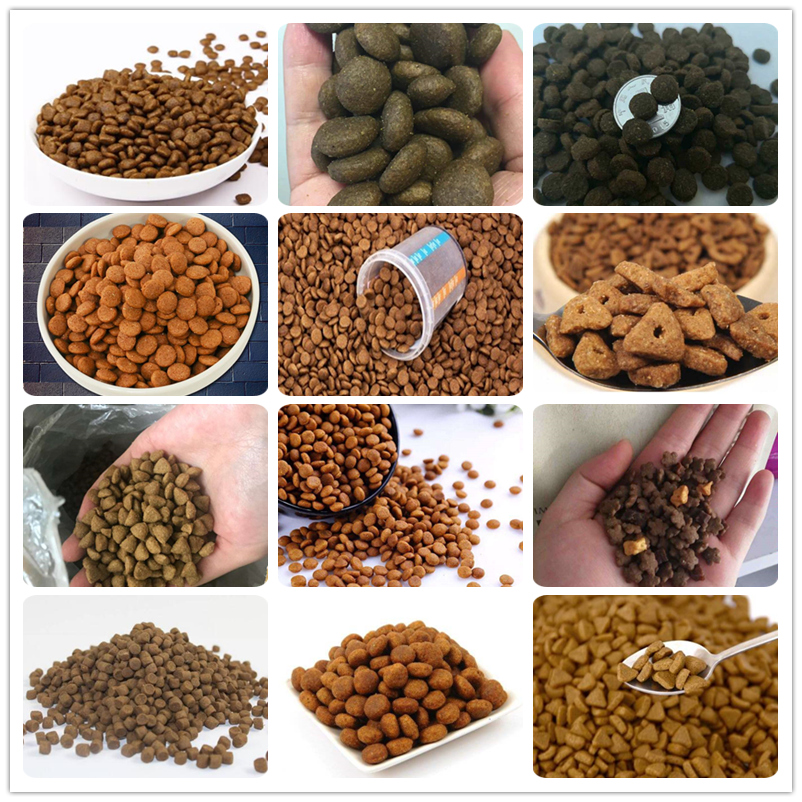 Dog food