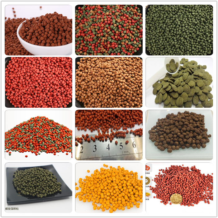 Fish feed